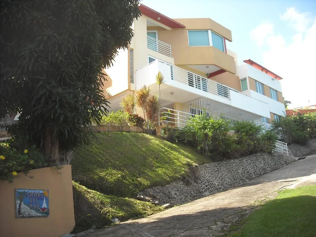 Ocean View Apartment contacts